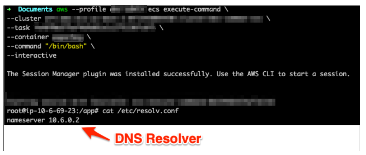 dns resolver